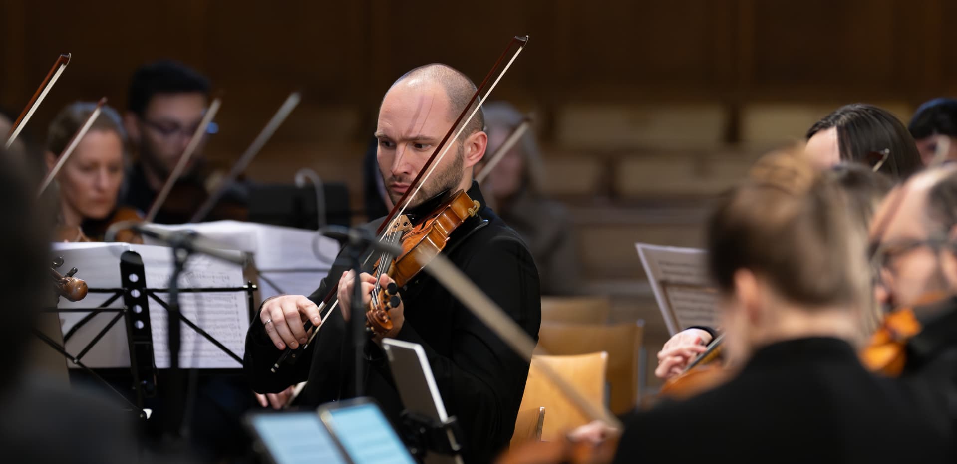 Violinist of the Empyrean Orchestra in concert