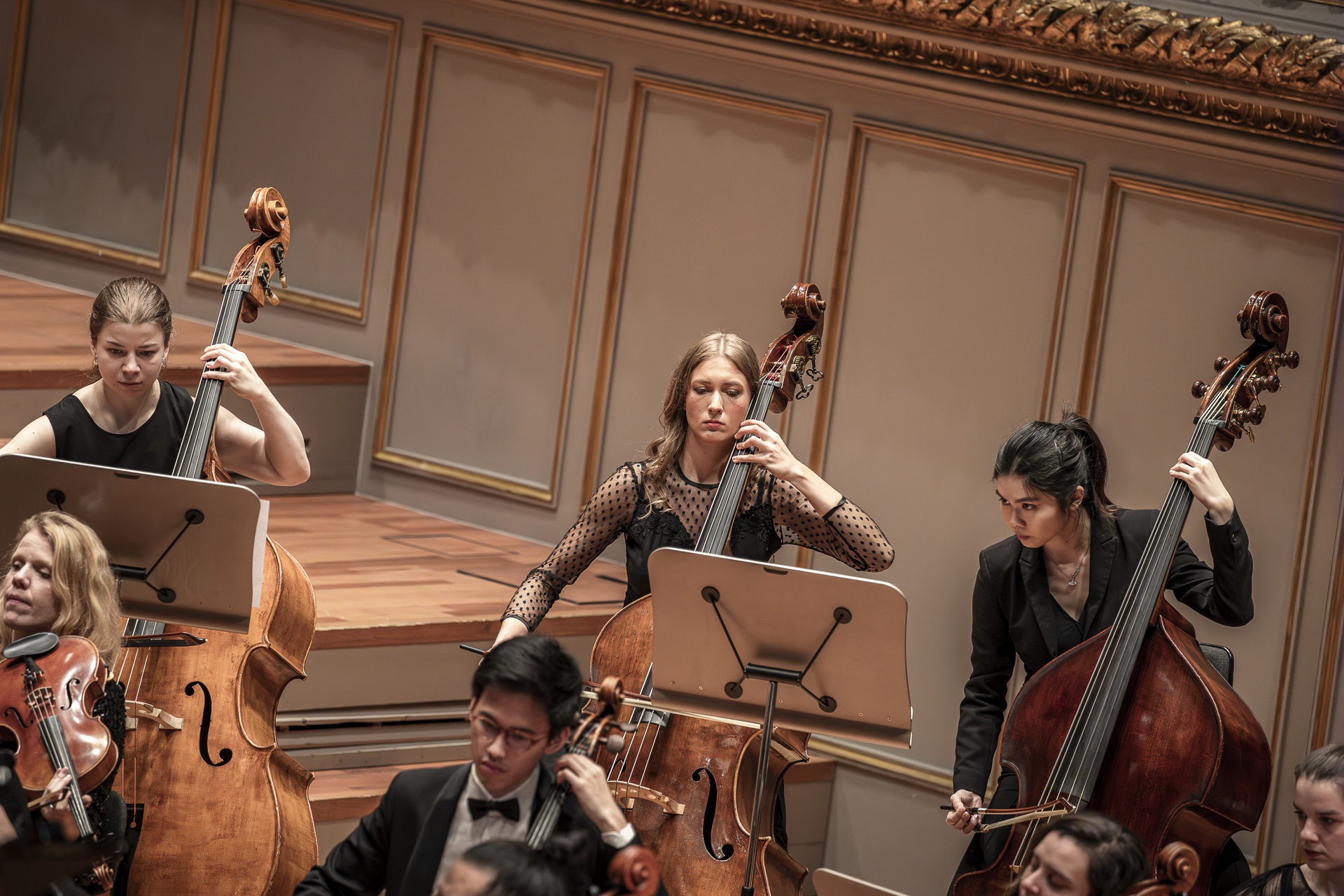 Double bass section of the Empyrean Orchestra