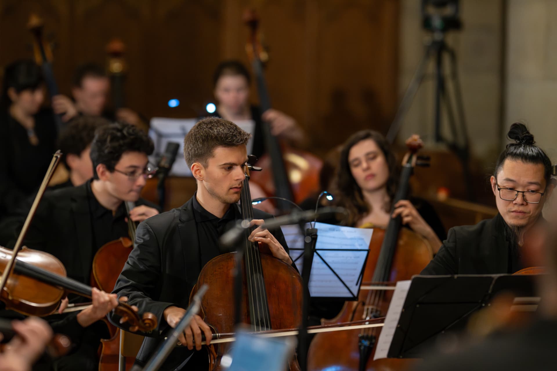Cellos and double basses of the Empyrean Orchestra in concert